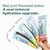TrueSeaMoss Electrolytes Powder Concentrate Packets – Made in USA –