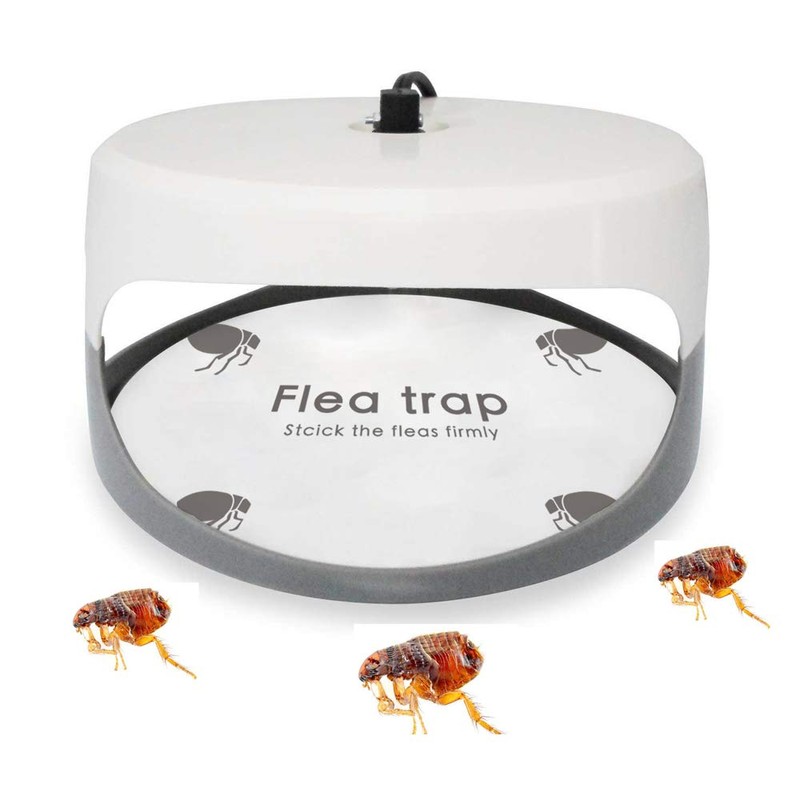 Flea Trap Refills 10 Packs, Flea Trap for Inside Your