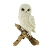 VOGLER Joh. Vogler GmbH Snow Owl Standing on Branch 21