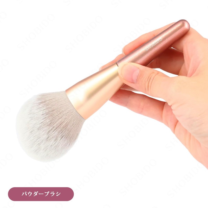Shobido SPV46970 W Eyeshadow Brush & Powder Brush Limited Set,