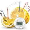 4M Lemon Clock