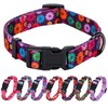 Rhea Rose Girl Dog Collars Fall Daisy Pattern, Colorful Flowers
