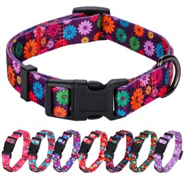 Rhea Rose Girl Dog Collars Fall Daisy Pattern, Colorful Flowers Print, Female Collar, Dark Purple, Medium