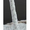 LIGHTSHARE Lighted Tree 6FT 72 LED Lighted Birch Tree for