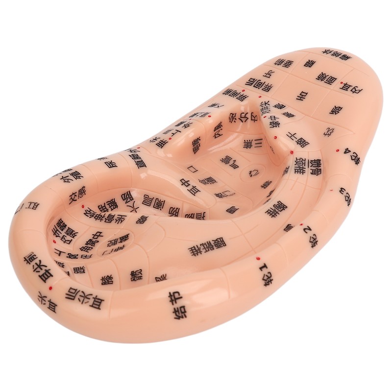 Ear Sticker Acupuncture Kit 600pcs Ear Massage Sticker Acupuncture Model
