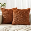 MIULEE Fall Burnt Orange Throw Pillow Covers 18x18 Inch, Soft