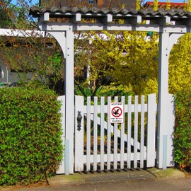 Strobo Achtung Hier ist kein Hundeklo Sign, 20 x 30 cm, Made From Sturdy PVC Hard Foam Board, 3 mm, No Dog Toilet Sign With UV Protection