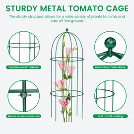SUNYRISY Metal Garden Arch Trellis for Climbing Plants Outdoor, 15.7" x 31.5" Tomato Cage Obelisk Trellis for Flowers Cucumber Rose Vegetable Support