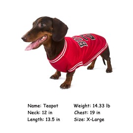 Dog Clothes Basketball Mesh Breathable T-Shirt,Pet Clothes Puppy Sportswear Spring/Summer Fashion Dog Shirt. (Red, X-Large)