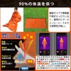 Nisshin Seikan Survival Sheet, Emergency Seat, Sleeping Bag, 2 Blankets,