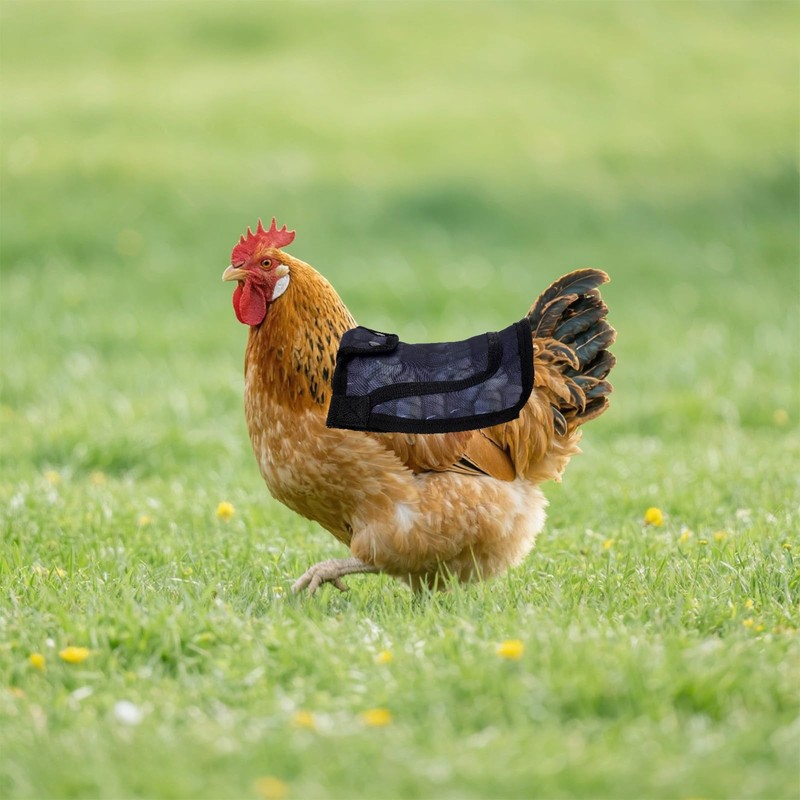 Chicken Saddle for Hens, 7.48 Inch Comfortable Hen Aprons with