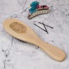 'Proud Lion Face' Wooden Hairbrush (HA00047126)