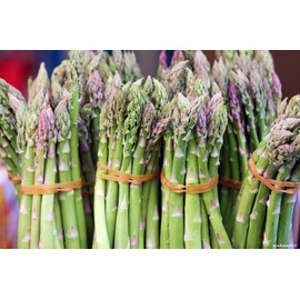 Mary Washington Asparagus 100 Seeds