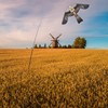 Flerigh Bird Hawk Flying Kite with Pole Crops Farm Protector