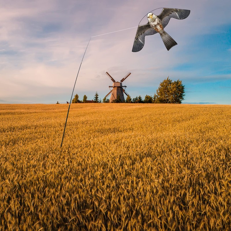 Flerigh Bird Hawk Flying Kite with Pole Crops Farm Protector