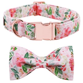 Lionet Paws Dog Collar with Bow Tie, Adjustable Removable Bow Tie Collar for Puppies, Small, Medium, Large Dogs and Cats, Gift, 40-60 cm