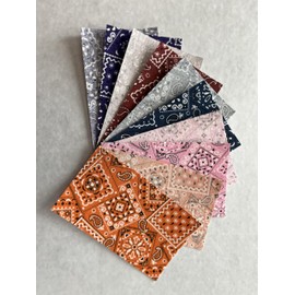 Inside/Outside Decorative Bandana Iron On Patches-Set of 10 (3” x 5”) (Assortment 3)