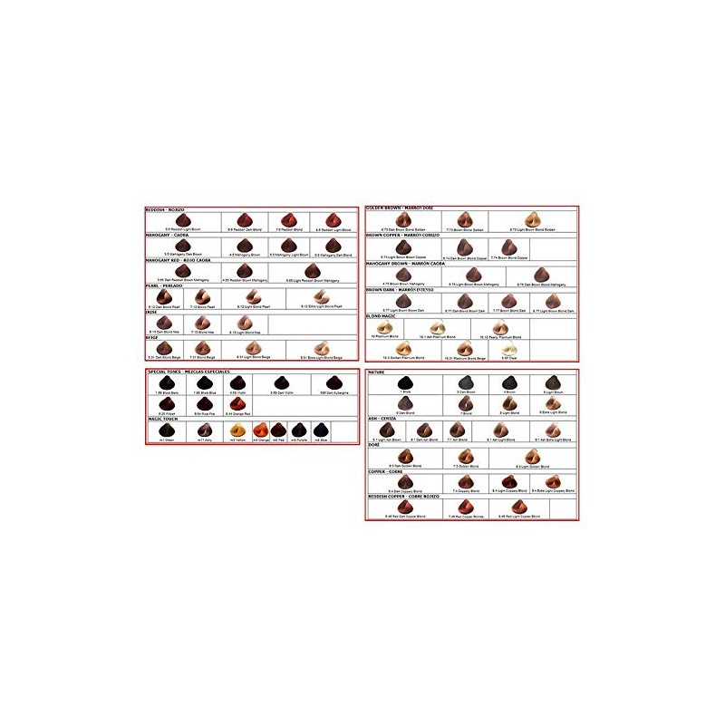 Salermvision 6.5 Mahogany Dark Blond by Salerm