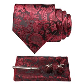 JEMYGINS Men's Necktie, Paisley Pattern, Pin, Cuffs, Button, Chief, Business, Job Hunting, Weddings, School Entrance Ceremonies, Graduations, After-parties, Funerals, Parties, Father's Day, Present,