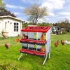 TGEYD Chicken Nesting Box 6 Holes, Nesting Boxes for Chickens,