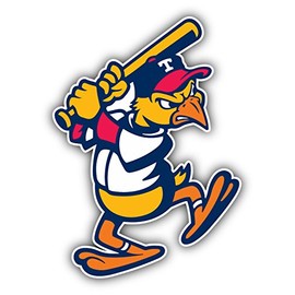 Toledo Mud Hens MiLB Baseball Logo Vinyl Art Graphic Sticker Bumper Decal