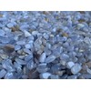 WHOLESALE Natural Semi Tumbled Blue Lace Agate Gemstone Chips, Crushed