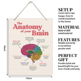 JXZOLQ Brain Anatomy Wood Sign, Therapy Decorations, Hanging Wooden Plaques Decor, Brain Learning Resources, Psychology Sign, Neuroscience Decor Sign, Counseling Room Hanging Decor, Medical Decor