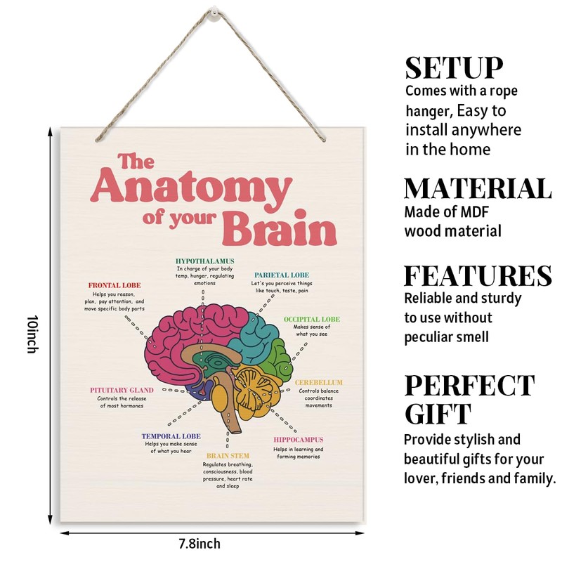 Brain Anatomy Wood Sign, 10*7.9 inches, Modern Art Decor, Hanging