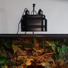 Aiicioo Dual Reptile Light Fixture - Bearded Dragon Light Fixture