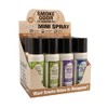 12pc Display - 2.5oz Smoke Odor Exterminator Spray