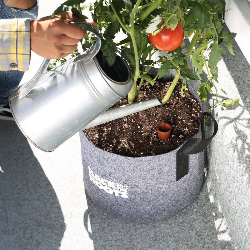 Back to the Roots Self-Watering Terracotta Olla Pot, 700mL Provides