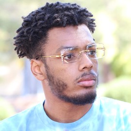 Elite Slim Rimless Rectangular Metal & Wood Art Aviator Sunglasses (Clear Gold)