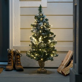 HLO Lighting 5mm Yellow LED Christmas Lights | Wide Angle LED Mini Christmas Lights for Indoor and Outdoor Use | 70 Bulbs