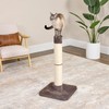 Feline Nuvo Medium, Forte Scratching Post- Brio