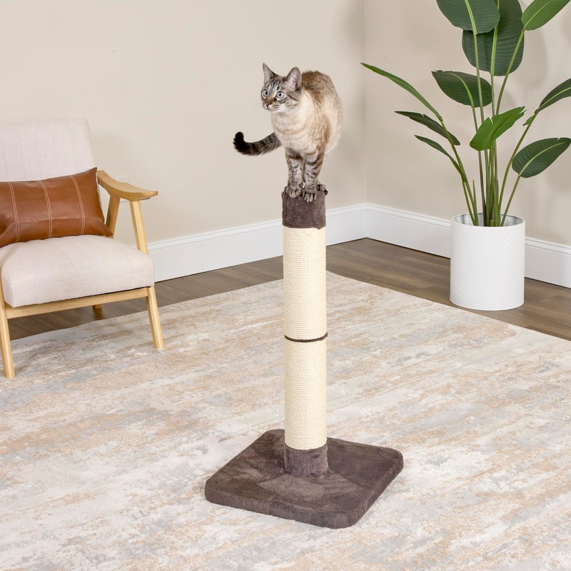 Feline Nuvo Medium, Forte Scratching Post- Brio