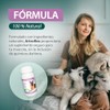 RUILAND Artoflex Combo Doble Suplemento para Perros 2 Packs 60
