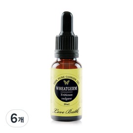 Love Bath Aroma Face Oil Top, 20ml, 6 pcs / 러브바스 아로마 페이스오일 윗점, 20ml, 6개
