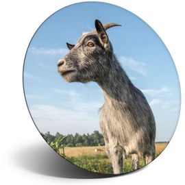 Destination Vinyl ltd Magnet for Refrigerator, Fridge - Cute Grey Goat Farm Animal for Office, Cabinet and Whiteboard, Magnetic Stickers, 3308
