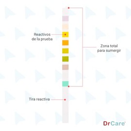 Tiras de Uroanálisis 10 Parámetros | Caja con 100 pzas