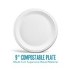 Perk Compostable Paper Plates, 9-inch, White, 250/Pack (PK61287)