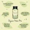 Probiotics & Prebiotics Vegavero® | 100% Organic | 10 Strains