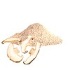 Essential Spice Organic Shiitake Mushroom Powder – Deep Umami Flavor,