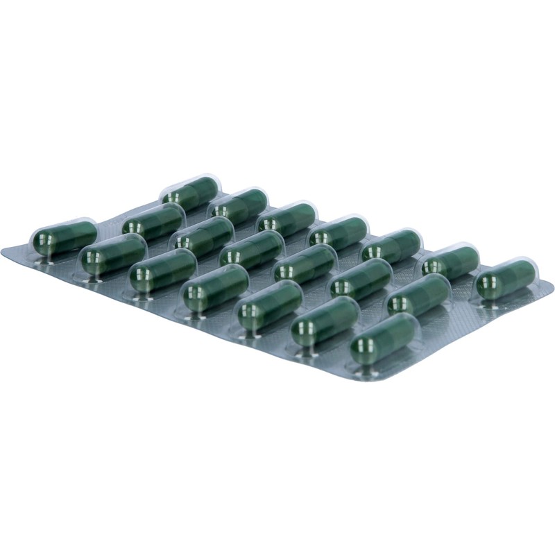 immunLoges® 60 Capsules Dietary Supplement with the Unique Natural Substances