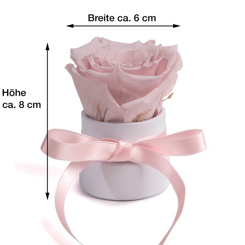 ROSEMARIE SCHULZ Heidelberg Small Rose Box White Round Infinity Rose