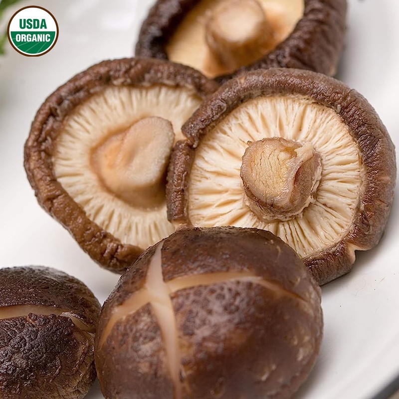 VIGOROUS MOUNTAINS USDA Organic Dried Shiitake Mushrooms Dry Dehydrated Mushrooms