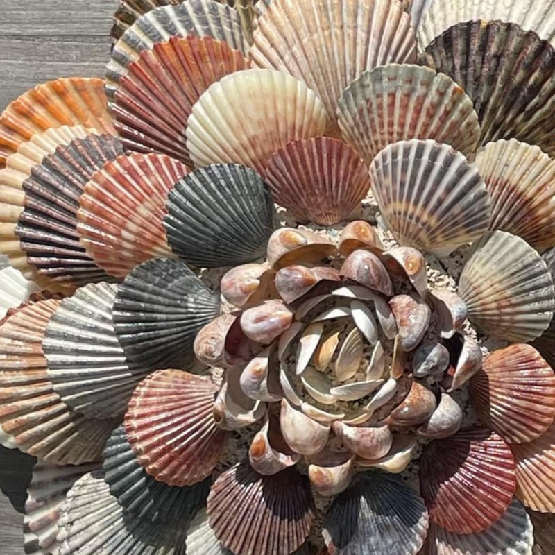 BEACON Sea Shell Glue for Creating and Decorating with Shells,