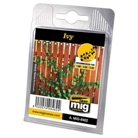 Mig - Ivy Plants (Mig8462)