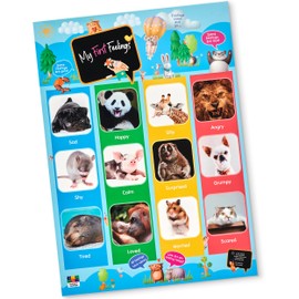 Dealing in Feelings Kids Emotion Chart - Zones of Emotional Regulation Compatible, Toddler Feelings Classroom Poster - Essential Social & Emotional Learning Tool for Home & School