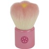 FWS – Pi 熊野 Brush Hex Theater Hall of Sakura Flower Face