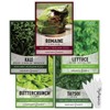 Hydroponic Seeds for Planting Planting Indoors and Outdoor 5 Variety Pack - Tatsoi, Kale, Buttercrunch, Romaine and Loose Leaf Lettuce Seeds by Gardeners Basics